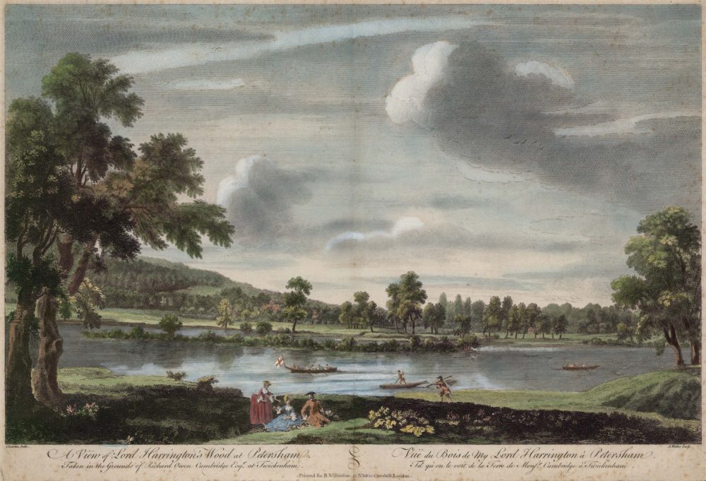 View of Lord Harrington’s Wood at Petersham